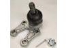 Joint de suspension Ball Joint:43330-29295