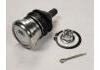 Joint de suspension Ball Joint:43310-39016