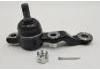 Ball Joint:43340-59066