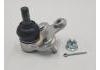 Ball Joint:43330-09B10