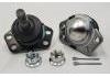 Ball Joint:43350-29036