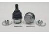 Joint de suspension Ball Joint:43330-60040