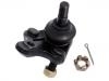 球头 Ball Joint:43330-29425